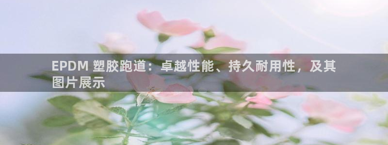 谈球吧平台：EPDM 塑胶跑道：卓越性能、持久耐用性，及其
图片展示