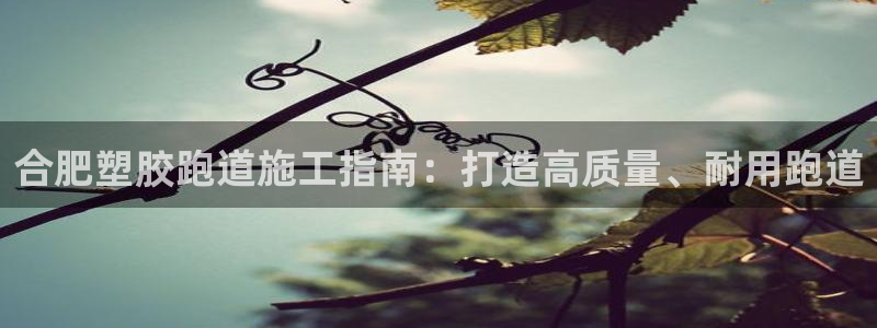 谈球吧平台app下载网址是多少：合肥塑胶跑道施工指南：打造高质量、耐用跑道
