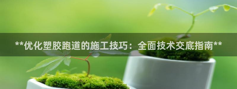 谈球吧体育app下载官网苹果版：**优化塑胶跑道的施工技巧：全面技术交底指南**