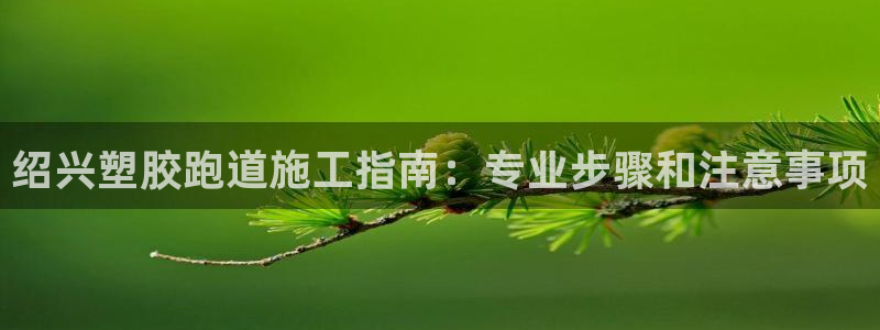 谈球吧在线登录免费观看：绍兴塑胶跑道施工指南：专业步骤和注意事项