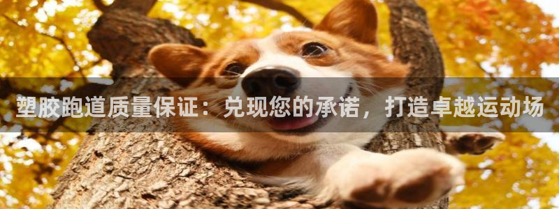 谈球吧娱乐app下载官网苹果版：塑胶跑道质量保证：兑现您的承诺，打造卓越运动场
