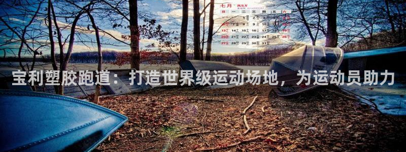 谈球吧体育app下载中心在哪找：宝利塑胶跑道：打造世界级运动场地，为运动员助力