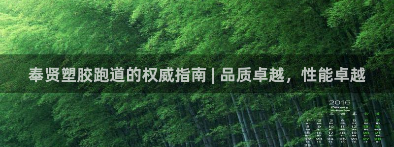 谈球吧官网在线入口手机版：奉贤塑胶跑道的权威指南 | 品质卓越，性能卓越