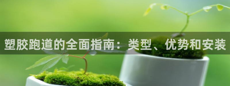 谈球吧买球靠谱吗：塑胶跑道的全面指南：类型、优势和安装