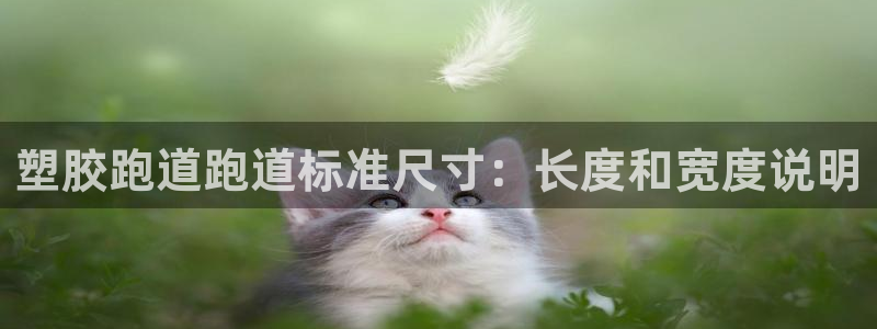 谈球吧是否诈骗：塑胶跑道跑道标准尺寸：长度和宽度说明