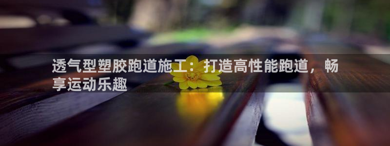 谈球吧在线登录免费观看：透气型塑胶跑道施工：打造高性能跑道，畅
享运动乐趣