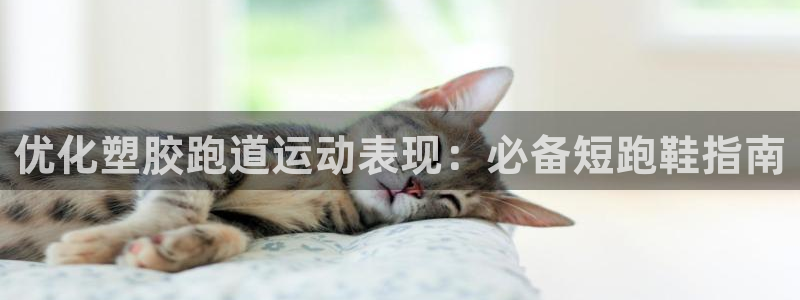 谈球吧官网在线入口手机版免费：优化塑胶跑道运动表现：