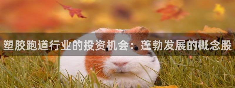 tqb谈球吧：塑胶跑道行业的投资机会：蓬勃发展的概念股
