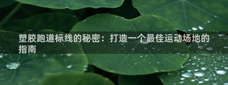 谈球吧平台正规吗可靠吗安全吗