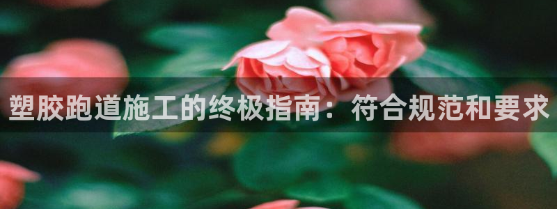 谈球吧在线：塑胶跑道施工的终极指南：符合规范和要求