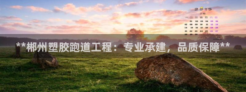 谈球吧平台：**郴州塑胶跑道工程：专业承建，品质保障**