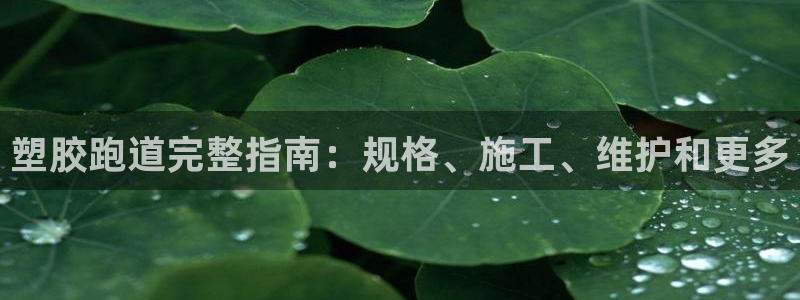 谈球吧网页版在线入口：塑胶跑道完整指南：规格、施工、维护和更多