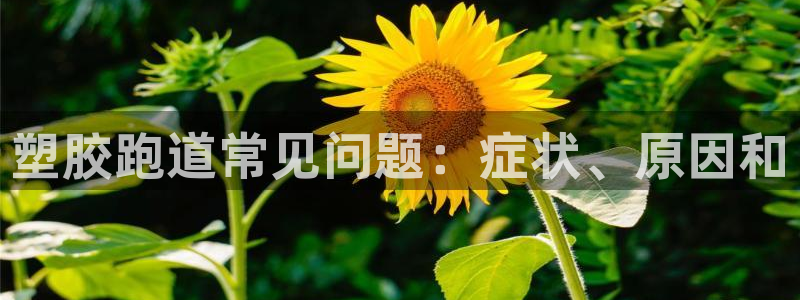 谈球吧的聊天软件叫什么名字：塑胶跑道常见问题：症状、原因和
