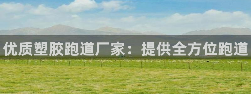 谈球吧平台正规吗可信吗安全吗：优质塑胶跑道厂家：提供全方位跑道