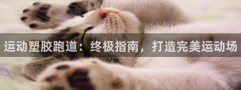 谈球吧是正规平台吗知乎：运动塑胶跑道：终极指南，打造完美运动场