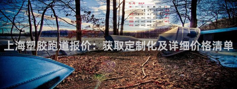 谈球吧怎么充值：上海塑胶跑道报价：获取定制化及详细价格清单