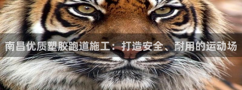 谈球吧平台app下载网址是多少