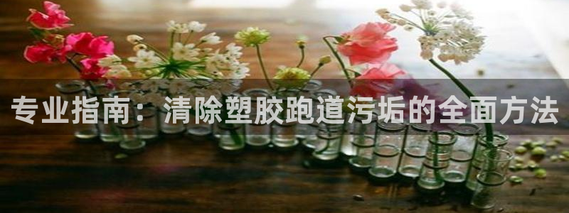 谈球吧平台app下载网址是什么：专业指南：清除塑胶跑道污垢的全面方法
