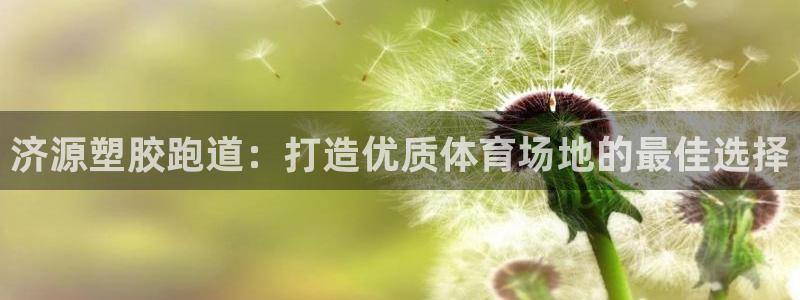谈球吧体育赛事入口：济源塑胶跑道：打造优质体育场地的最佳选择