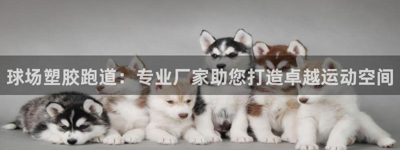 谈球吧app赛事分析：球场塑胶跑道：专业厂家助您打造