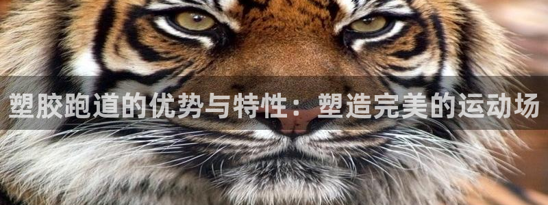 谈球吧的聊天软件叫什么