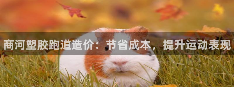 谈球吧的聊天软件是什么：商河塑胶跑道造价：节省成本，提升运动表现