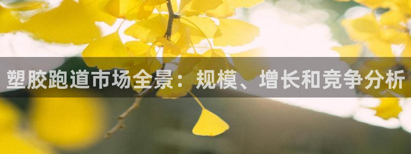 谈球吧属于哪个旗下：塑胶跑道市场全景：规模、增长和竞争分析