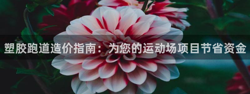 谈球吧平台app下载网址是什么：塑胶跑道造价指南：为您的运动场项目节省资金