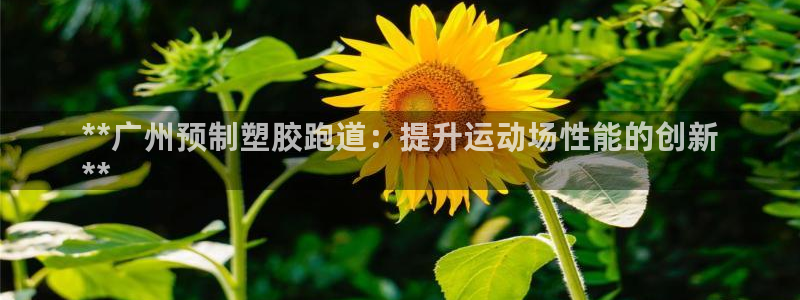 谈球吧官网app下载：**广州预制塑胶跑道：提升运动场性能的创新
**