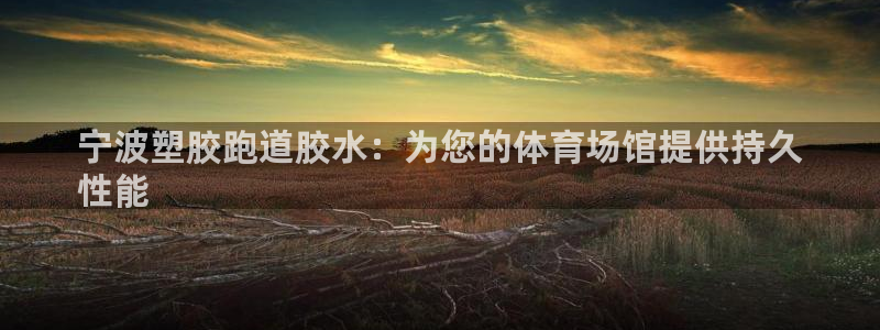 谈球吧官网在线入口手机版免费观看：宁波塑胶跑道胶水：为您的体育场馆提供持久
性能