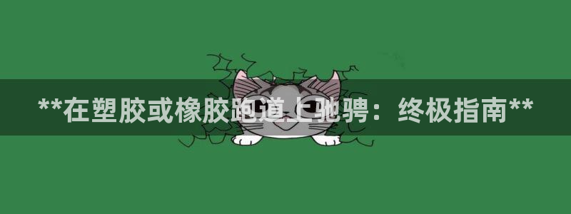 谈球吧是正规平台吗：**在塑胶或橡胶跑道上驰骋：终极指南**