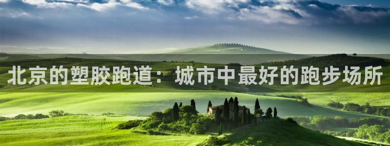 谈球吧打不开了：北京的塑胶跑道：城市中最好的跑步场所