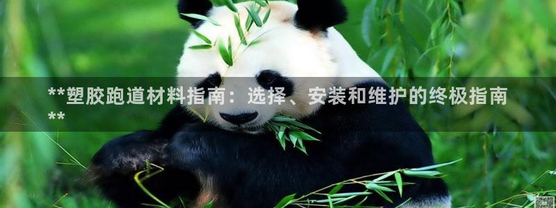 谈球吧app体育下载官网：**塑胶跑道材料指南：选择、安装和维护的终极指南
**