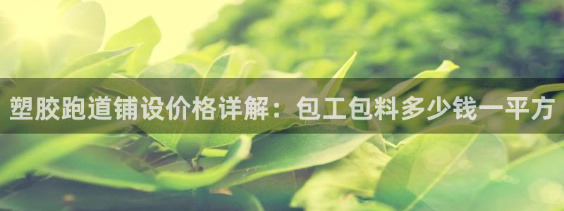 谈球吧全站app下载：塑胶跑道铺设价格详解：包工包料多少钱一平方