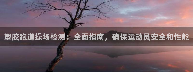 谈球吧全站app下载手机版：塑胶跑道操场检测：全面指南，确保运动员安全和性能