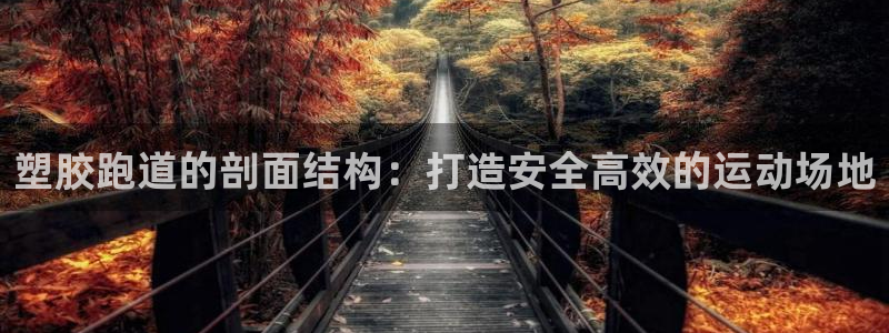谈球吧官方网站：塑胶跑道的剖面结构：打造安全高效的运动场地