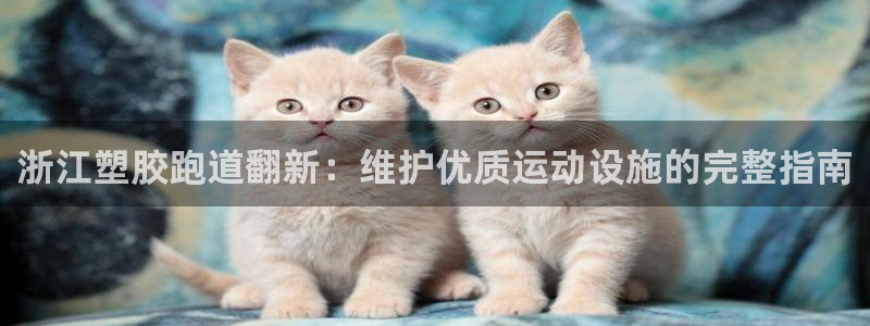 谈球吧官网在线入口免费观看高清版