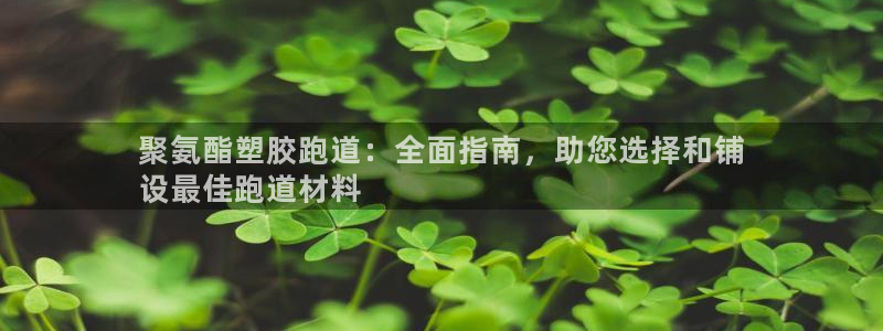 谈球吧官网入口在线观看：聚氨酯塑胶跑道：全面指南，助