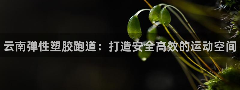 谈球吧咋样黑钱：云南弹性塑胶跑道：打造安全高效的运动空间