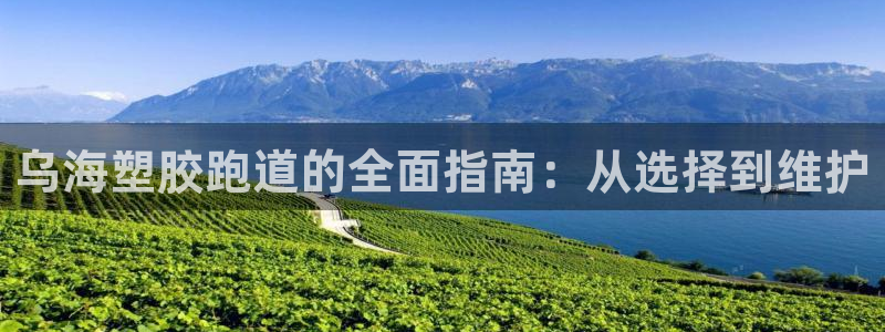 谈球吧最新APP下载：乌海塑胶跑道的全面指南：从选择