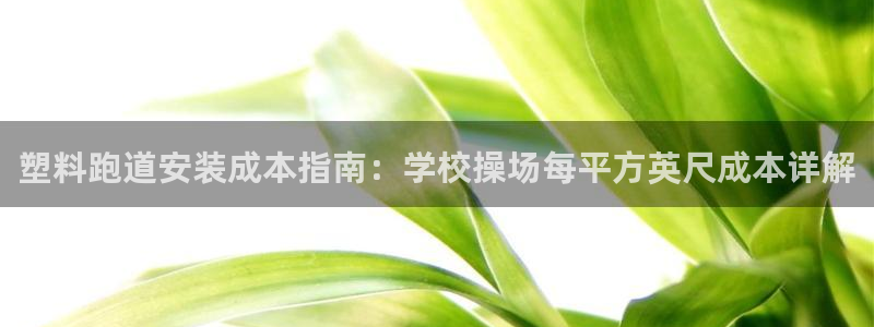 谈球吧是黑台子吗是真的吗：塑料跑道安装成本指南：学校操场每平方英尺成本详解