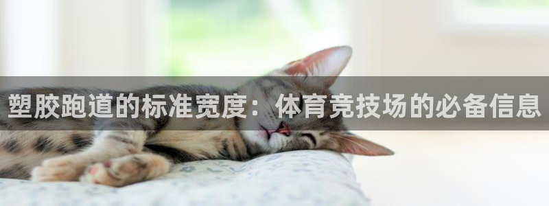 谈球吧算违法行为吗