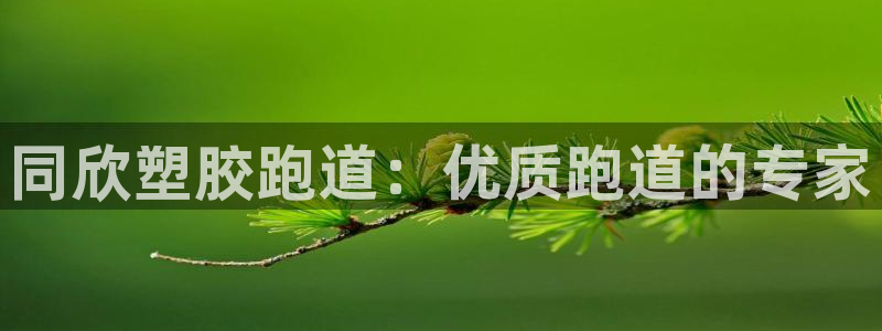 谈球吧(中国)官方网站：同欣塑胶跑道：优质跑道的专家