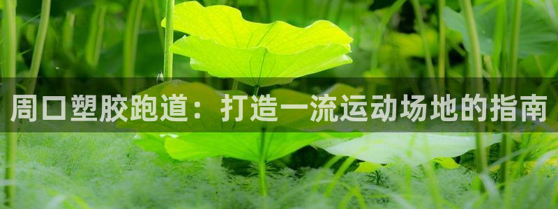 谈球吧咋样：周口塑胶跑道：打造一流运动场地的指南