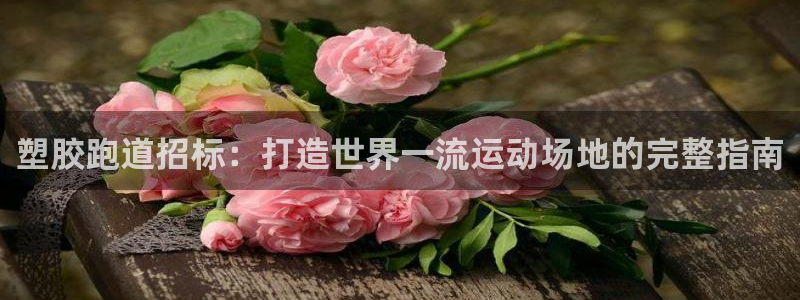 谈球吧网址：塑胶跑道招标：打造世界一流运动场地的完整