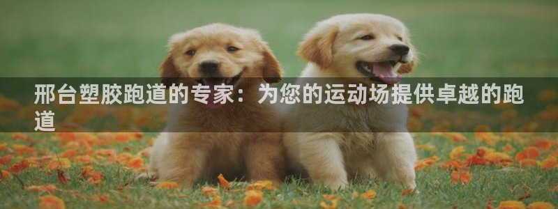 谈球吧体育app下载官网手机版：邢台塑胶跑道的专家：