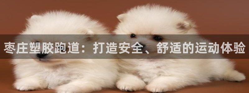 谈球吧综合官网app：枣庄塑胶跑道：打造安全、舒适的运动体验