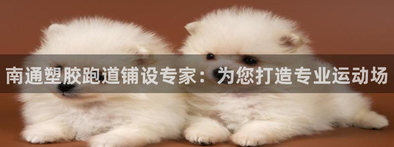 谈球吧被黑不给提现：南通塑胶跑道铺设专家：为您打造专业运动场