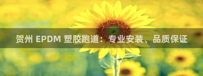 谈球吧的聊天软件是什么：贺州 EPDM 塑胶跑道：专业安装、品质保证