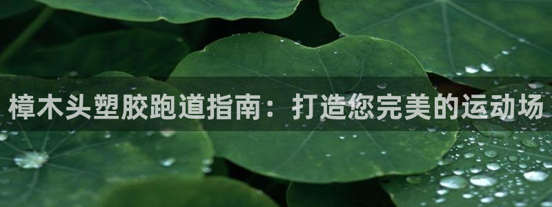 谈球吧app下载安装：樟木头塑胶跑道指南：打造您完美的运动场